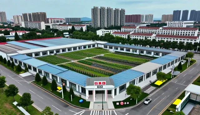 设计业务适用条件的判断与实际操作解析